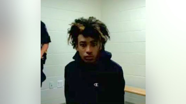 Flat Rock man charged after 17-year-old killed in Huron Township