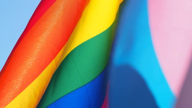 Efforts to enhance Michigan LGBTQ+ protections advance past senate committee