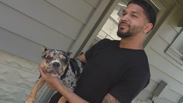 Family's puppy taken by Amazon driver returned after 4 days