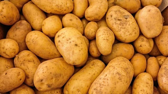 Man stabbed during fight at Michigan potato festival