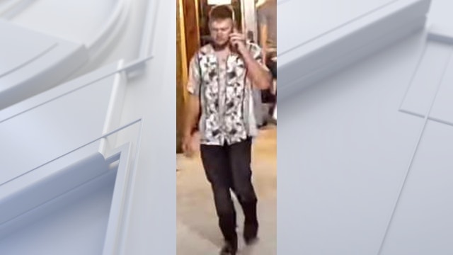 Person of interest sought after assault at Wyandotte bar