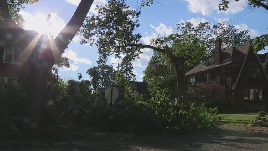 Monday's storms brought large trees down in Detroit's University District.
