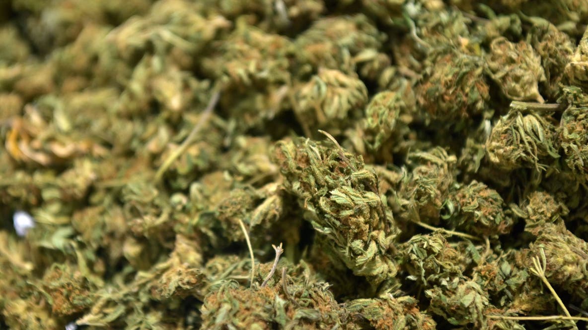Michigan company shipped dirt while identifying it as marijuana flower; fined $2M by state