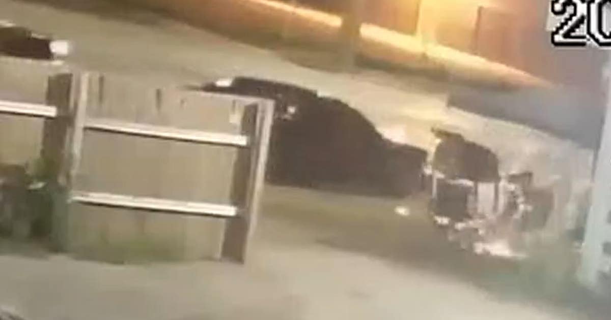 Detroit police seek suspect after 4 injured in drive-by shooting | FOX ...