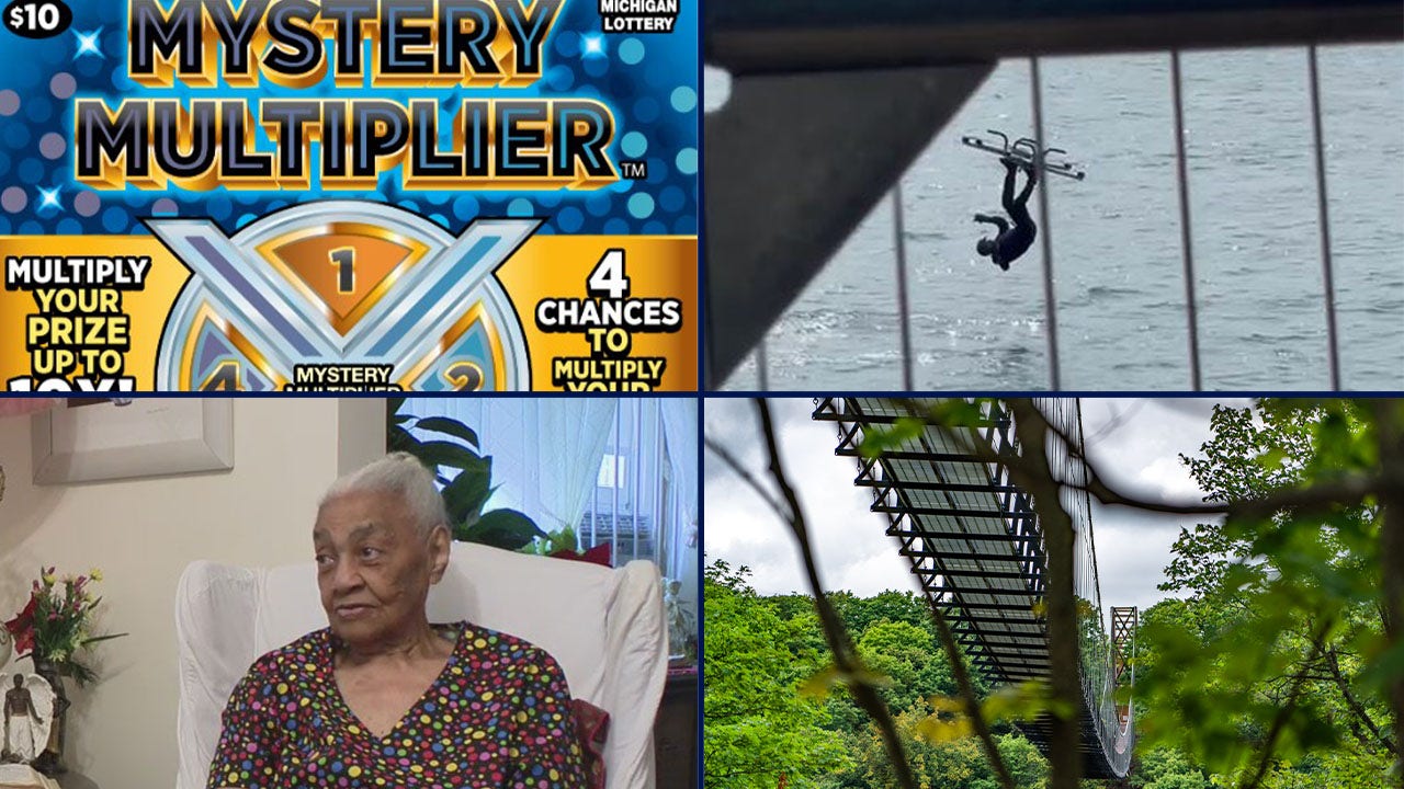 Detroit River • SkyBridge Michigan picture