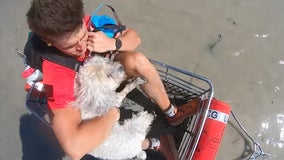 Watch: Dog, woman and grandson who flew to Florida to ride out Ian with her lifted to safety