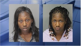 Purse snatchers charged after thefts at Metro Detroit grocery stores