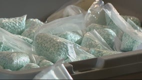 'A deadly dealer': Warren police seize fentanyl, guns, money during drug raid