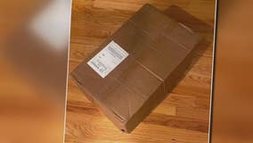 Man buys Michigan voting machine off EBay. The Secretary of State has questions