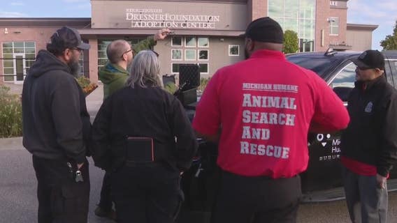 Michigan Humane Search and Rescue heads to Florida to help pets following Hurricane Ian