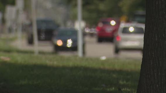 State police K9 bites Detroit police officer during chase of carjack suspect