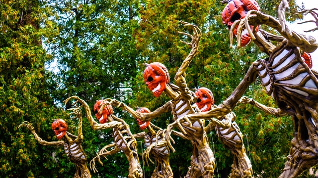 Things to do this weekend in Metro Detroit