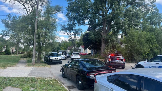 8-year-old dead from gunshot in Detroit home, police say