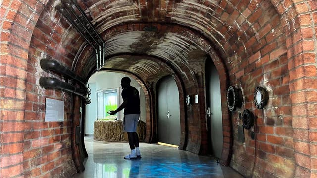 Belle Isle Nature Center reopens after $2.5 million renovation