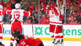 Nedeljkovic, Larkin lead Red Wings past Devils 5-2