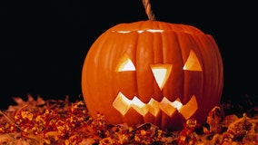 A green Halloween: How to make your spooky holiday more eco-friendly