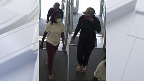 Suspects wanted for stealing Gucci shoes, coat worth $2,000 from Bloomfield Township TJ Maxx