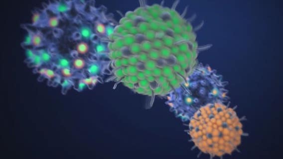 Doctors warn of possible 'tridemic' this winter with Covid, the flu and RSV