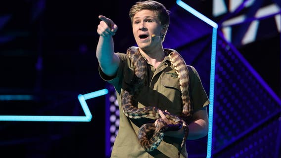 Steve Irwin's son, Robert, launches new career as photographer