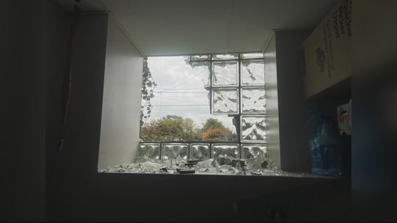Detroit Dog Rescue says vandals were trying to steal dogs after window smashed, power cut
