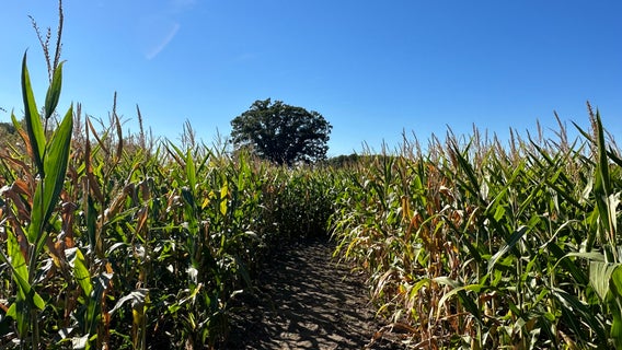 Michigan's agriculture sector had their best year ever in 2022