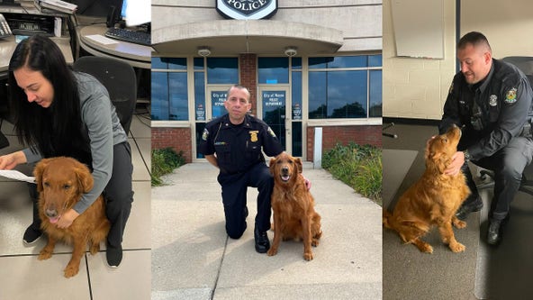Wayne Police Department's therapy dog Zeke dies from cancer