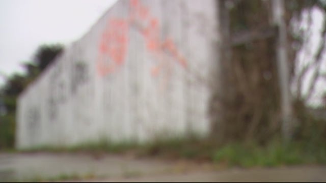 Center Line woman feels unsafe after racist slur, genitalia painted on fence