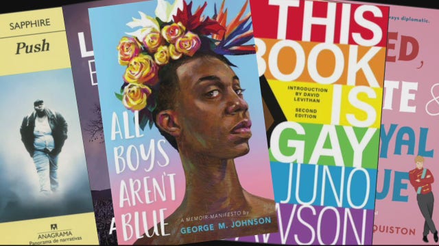 Michigan 2022 Election: Dearborn book debate, other hot topics highlight importance of school board races