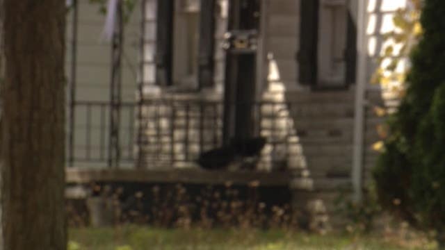 Suspects hold gun to 2-year-old's head, shoot up Detroit house during break-in