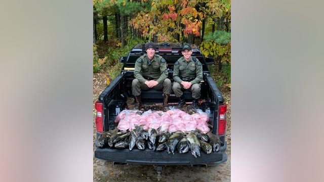 Poachers caught with over 460 pounds of salmon by Michigan DNR