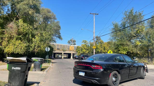 ‘Known gang member’ shot by Detroit police, wanted for February murder