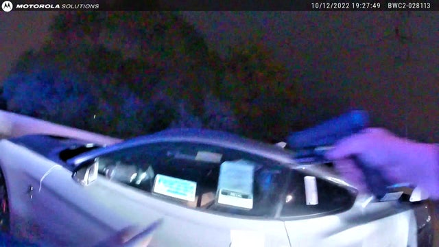 VIDEO: 14-year-old in stolen Mustang runs out of gas, jumps from I-75 bridge to run from Brownstown Police