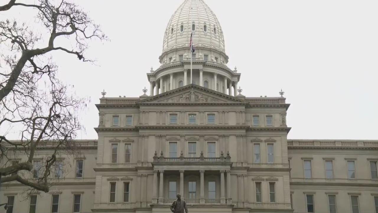 Michigan Senate Votes To Outlaw Child Marriage | FOX 2 Detroit