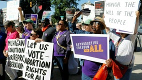 Michigan voters enshrine right to abortion in big night for ballot proposals