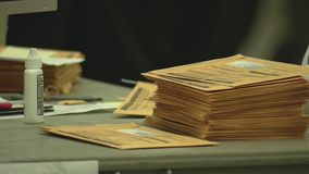 Michigan pollster says expect a 'red mirage' on election night