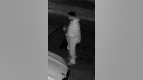 Arsonist wanted after setting vehicle fire in Dearborn