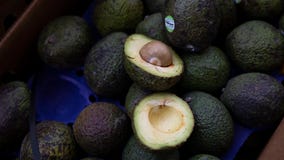 The days of paying $3 for an avocado may be over for good. Here’s why