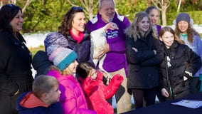 Meet Mitch E. Gander, the Michigan turkey pardoned for this Thanksgiving