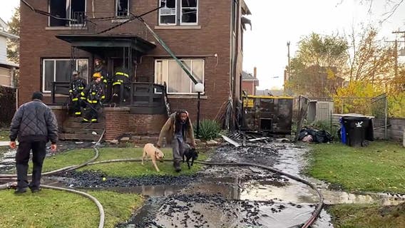 Video shows dogs returned to owner after escaping Detroit home fire
