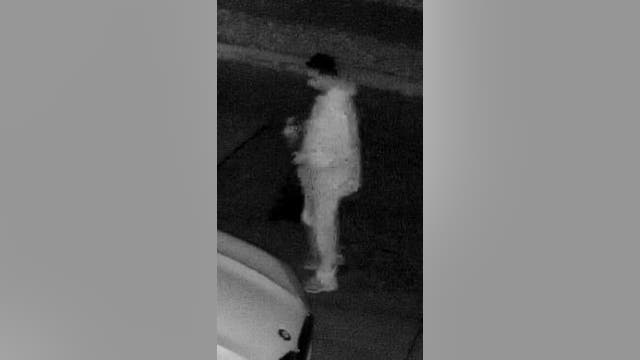 Arsonist wanted after setting vehicle fire in Dearborn