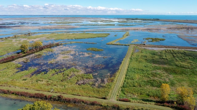 Michigan seeks recommendation on what water bodies to monitor