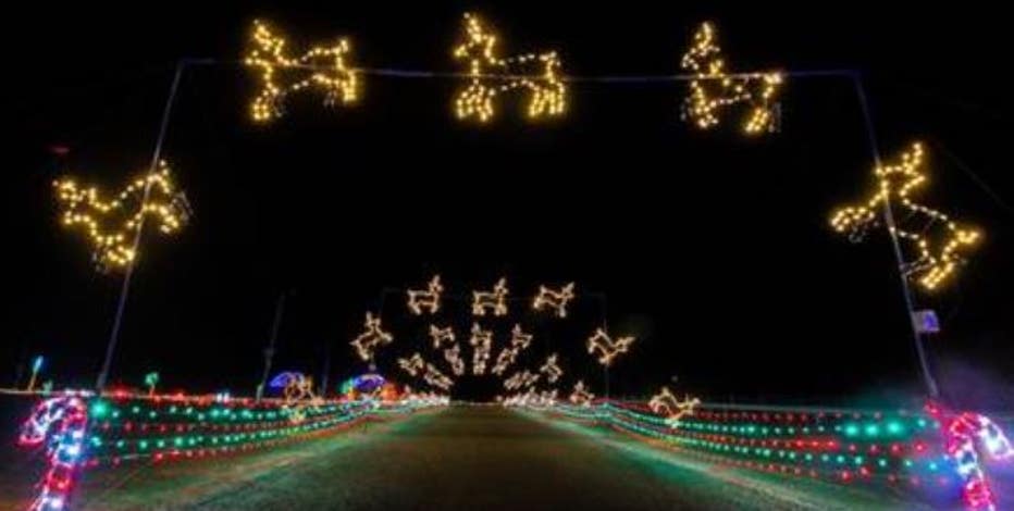 little elm magic of lights