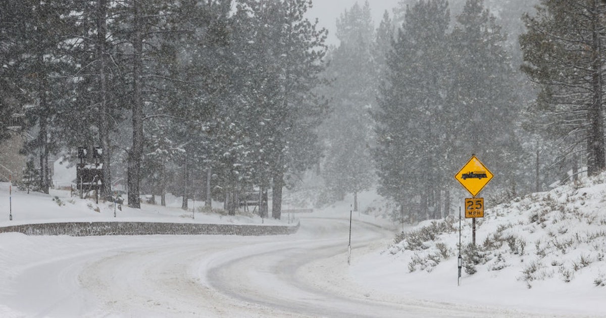 Winter in Michigan: How to drive in a snow storm | FOX 2 Detroit