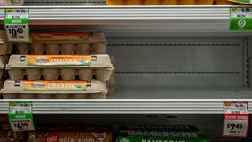 Here's why eggs prices are so high