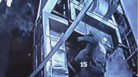 Detroit police hit with pair of $10 million lawsuits claiming excessive force