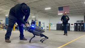 Robot guard dog unleashed in Ferndale