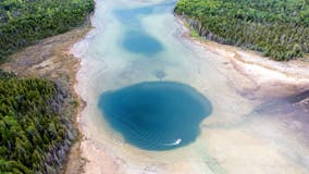 Ancient life, rare plants found in Michigan's sinkholes