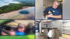 Metro Detroit vet killed in crash • Unusual Ferndale home for sale • Rare finds in Michigan sinkholes