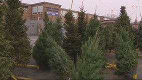 Royal Oak church giving away free Christmas trees