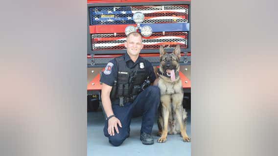 Berkley police K-9 Bear receiving body armor thanks to donation